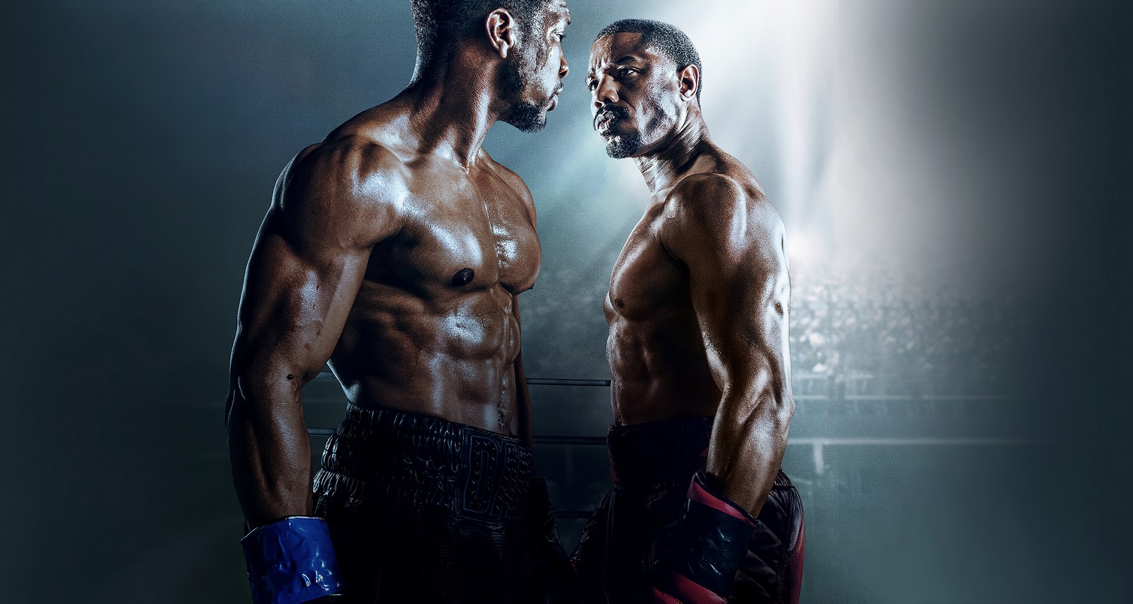 Recensione e tutto quello c'è da sapere su Creed III, il film su Rai Due con Michael B. Jordan, Tessa Thompson, Jonathan Majors, Phylicia Rashād e Florian Munteanu.