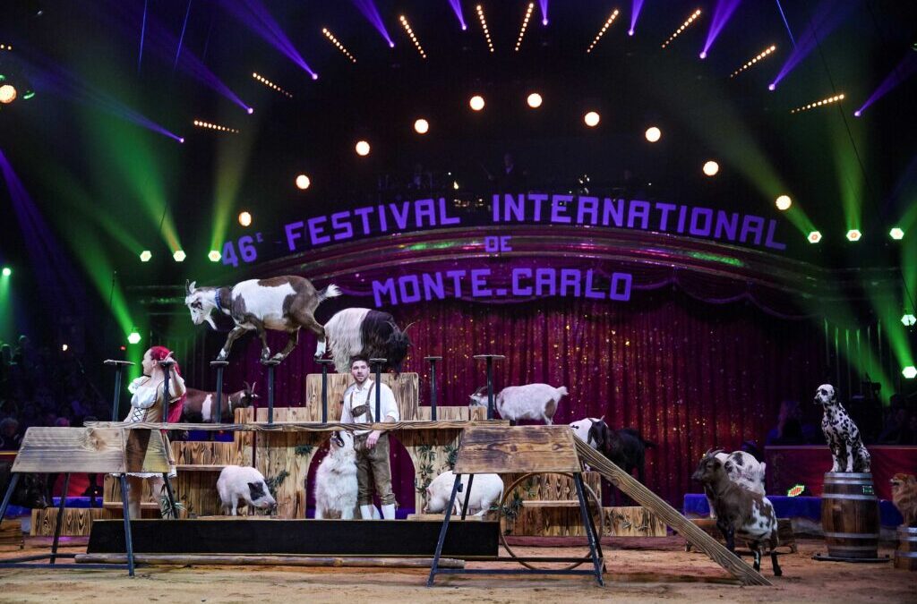Ascolti tv sabato 28 dicembre 2024: Festival del Circo a 2,9 mln (19,3%), Vasco Rossi a 1,9 mln (15%)