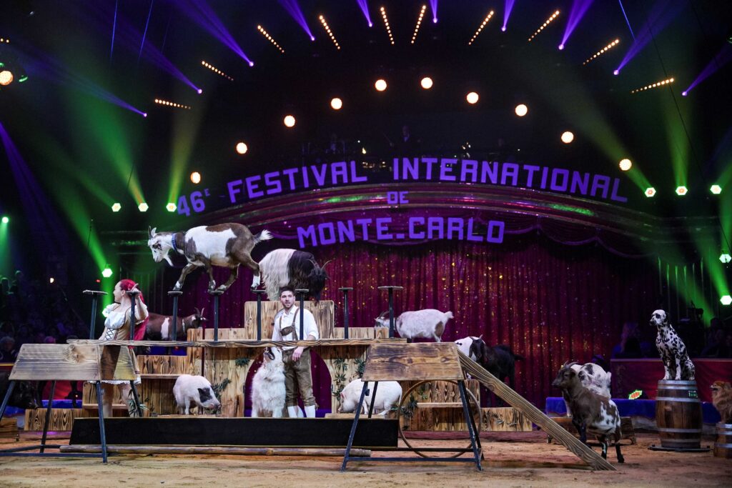 Ascolti tv sabato 28 dicembre 2024: Festival del Circo a 2,9 mln (19,3%), Vasco Rossi a 1,9 mln (15%)