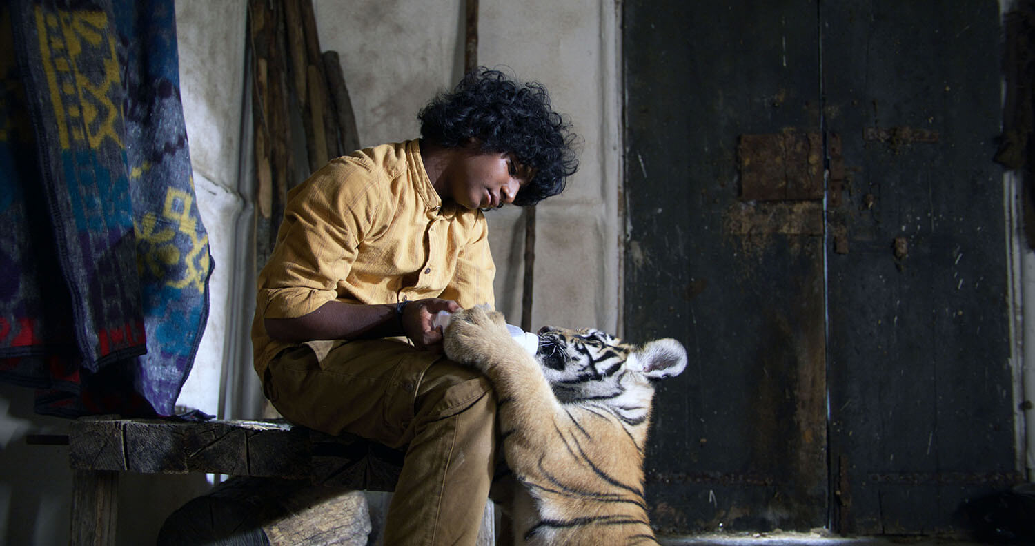 Tutto quello che c'è da sapere su Il ragazzo e la tigre, il film d'avventura su Italia Uno di Brando Quilici (Il mio Nanuk) con Sunny Pawar e Claudia Gerini.
