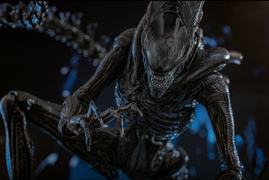 Alien: Romulus ha convinto fan e critica e Hot Toys rivela due nuove action figures da collezione ispirate alla Rain Carradine di Cailee Spaeny e al nuovo Xenomorfo del film di Fede Alvarez.
