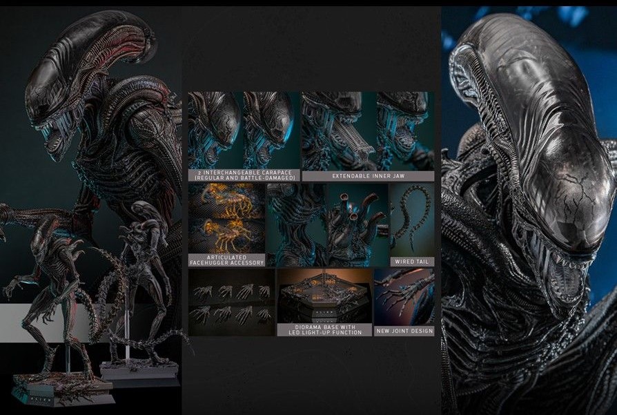 Alien: Romulus ha convinto fan e critica e Hot Toys rivela due nuove action figures da collezione ispirate alla Rain Carradine di Cailee Spaeny e al nuovo Xenomorfo del film di Fede Alvarez.