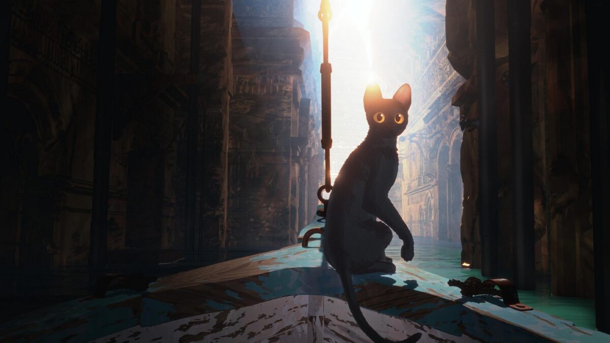 Da “Flow – U mondo da salvare” a “Garfield – Il film”: una Top 15 film con gatti da cinema
