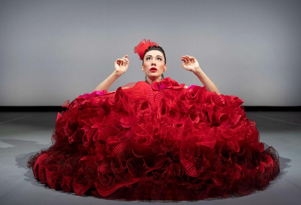 Samusà: su Nove lo spettacolo teatrale di Virginia Raffaele