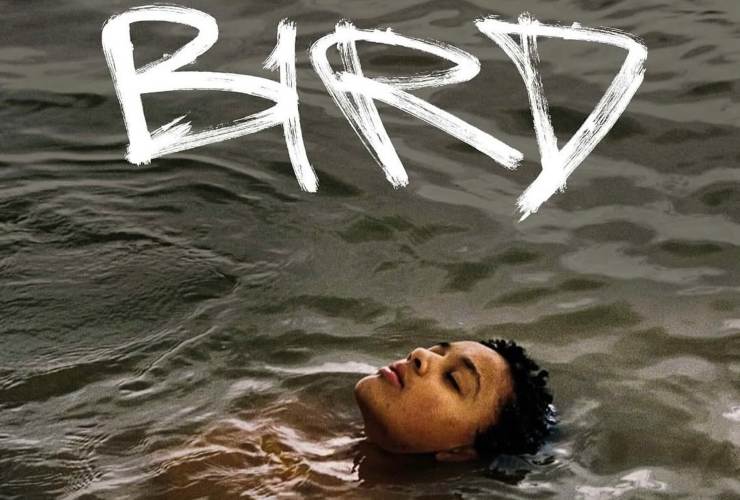 Cast e trama del film Bird