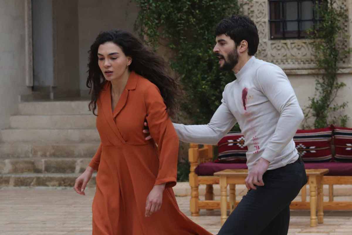 hercai trama 19 maggio