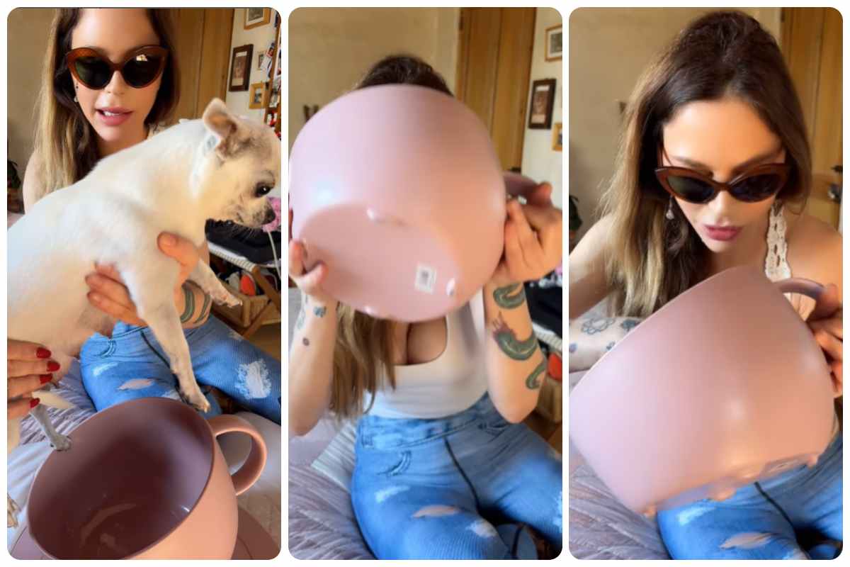 “Pronti per mungere la nostra piccola cagnetta”. Naike Rivelli e la provocazione sul latte di cane