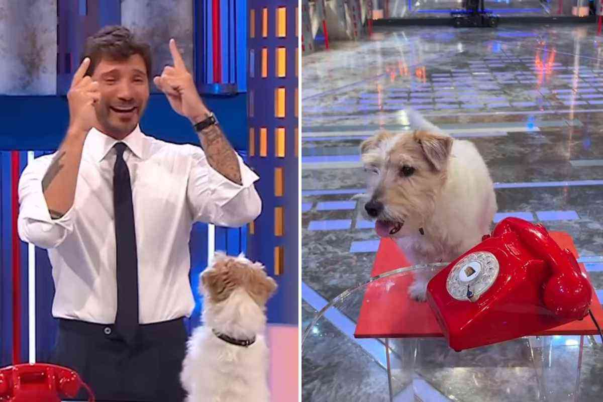 Il retroscena su Affari Tuoi: “Perché De Martino ha scelto proprio Gennarino”