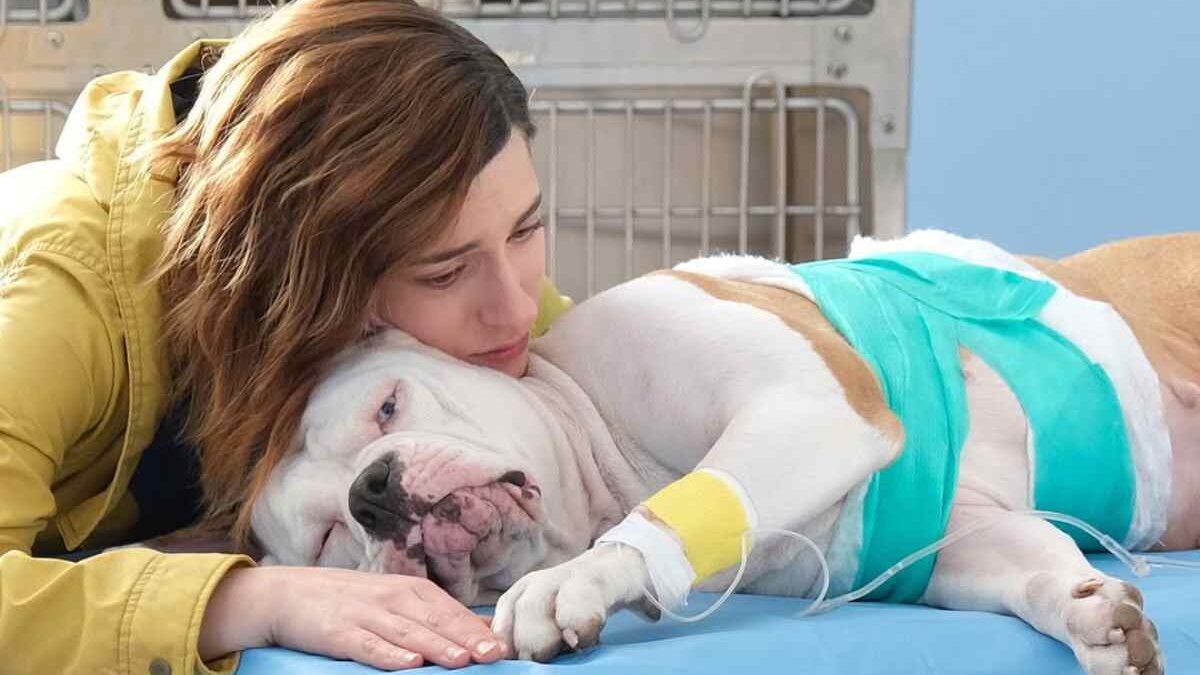 Blanca 3, spoiler (strappalacrime). Addio al cane Linneo