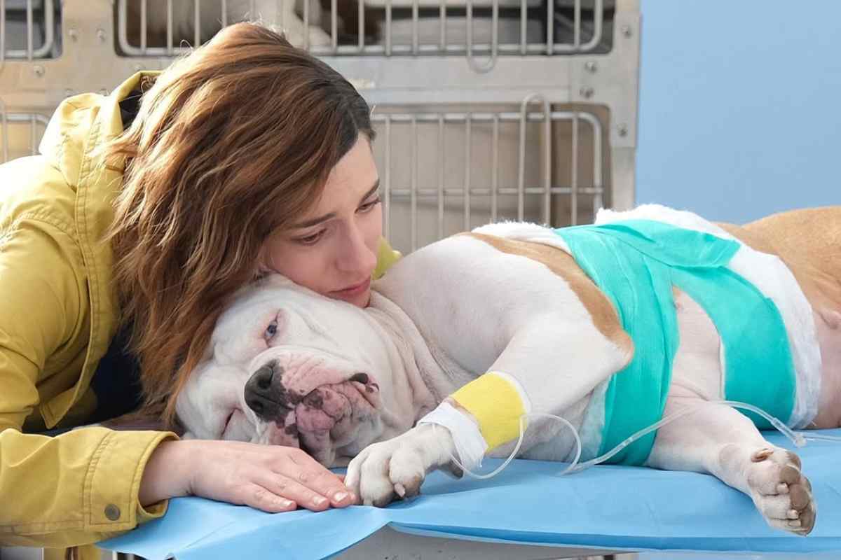 Blanca 3, spoiler (strappalacrime). Addio al cane Linneo