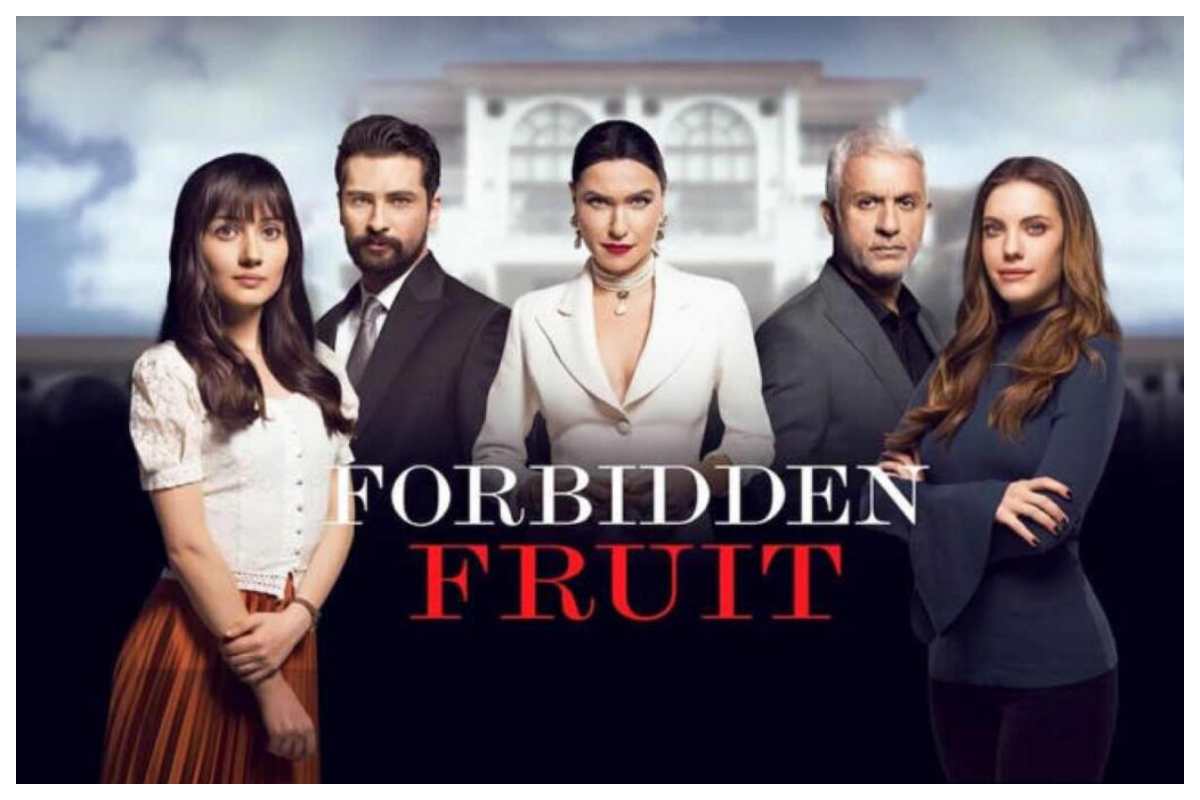Forbidden Fruit, anticipazioni prima stagione: Tasdemir chiede a Zeynep di sposarlo, la sua reazione