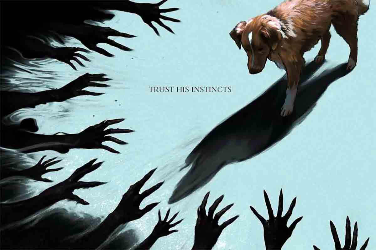 Good Boy e il cinema visto dagli occhi di un cane: dal cult horror ai classici come Fluke