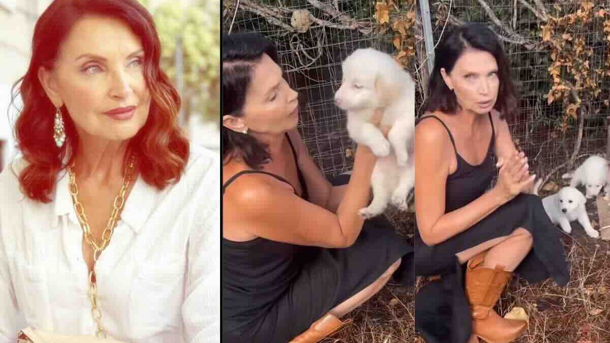 Casa a Prima Vista, Nadia Mayer quasi in lacrime. L’appello per i cuccioli abbandonati: “Ve li porto io a casa, vi prego, chiamatemi”