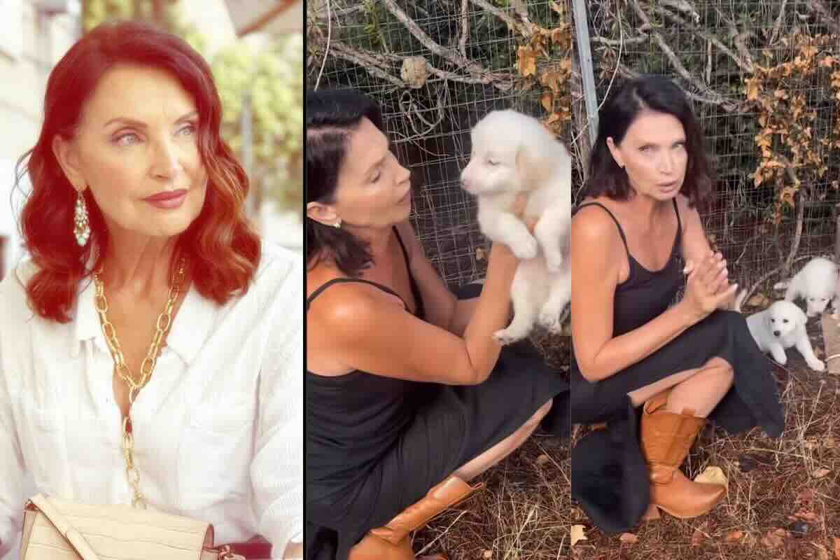 Casa a Prima Vista, Nadia Mayer quasi in lacrime. L’appello per i cuccioli abbandonati: “Ve li porto io a casa, vi prego, chiamatemi”