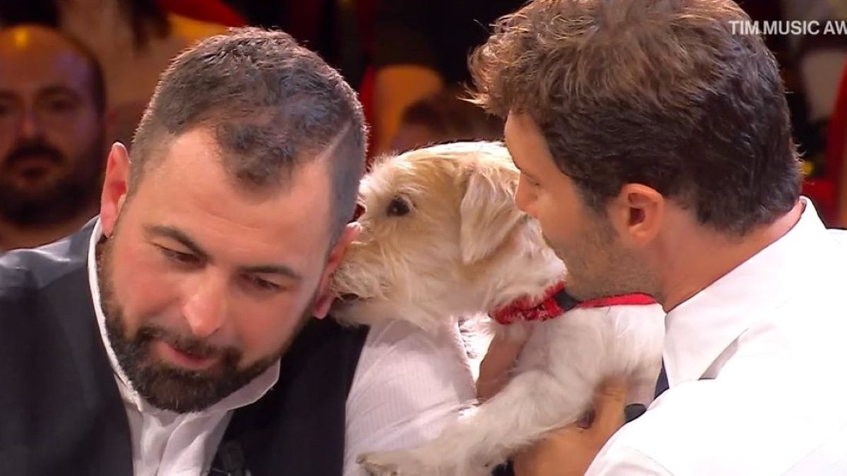 Affari Tuoi, il crollo del carpentiere Mattia: sembrava tutto perso, poi arriva il colpo di scena. La (super) cifra vinta