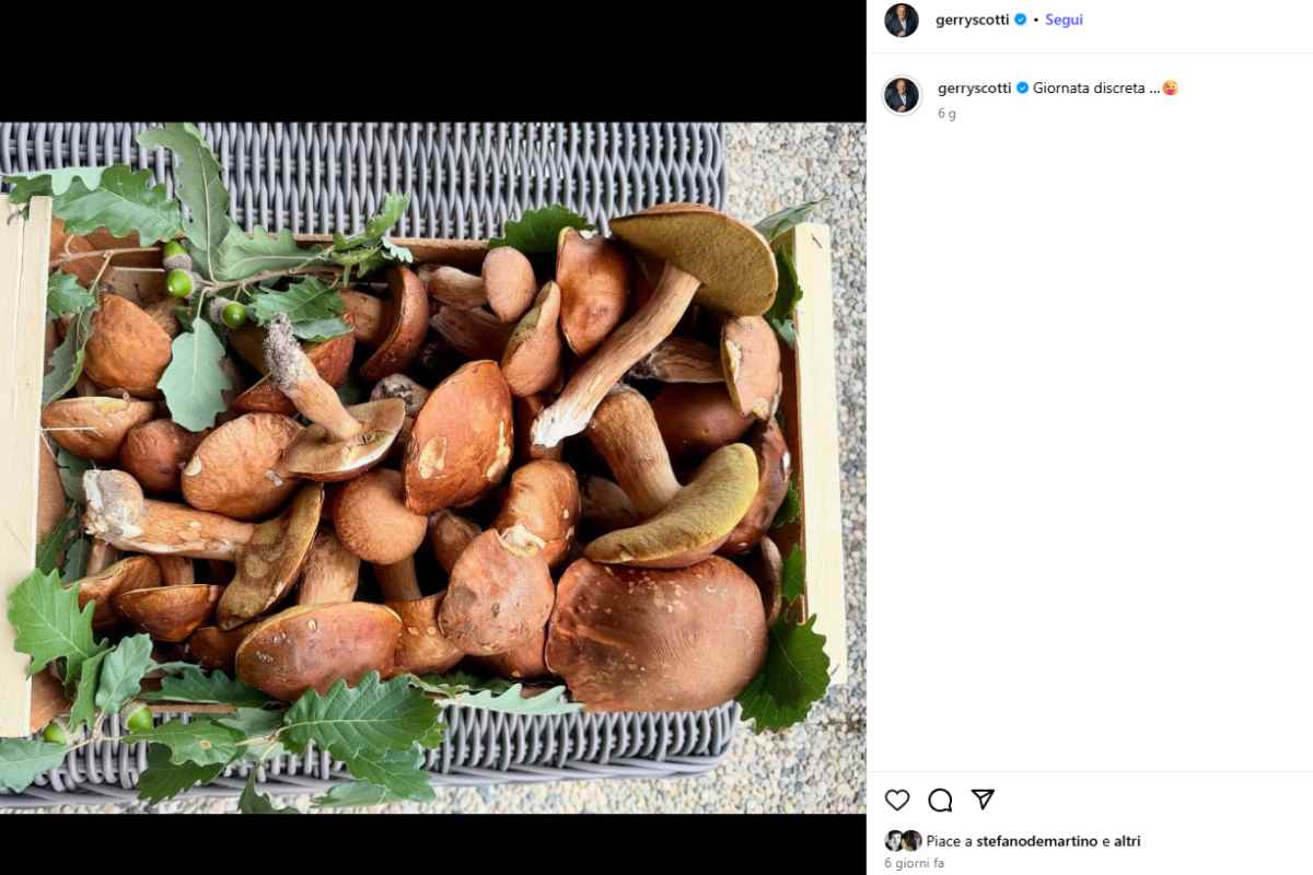 cosa ha fatto de martino per scotti