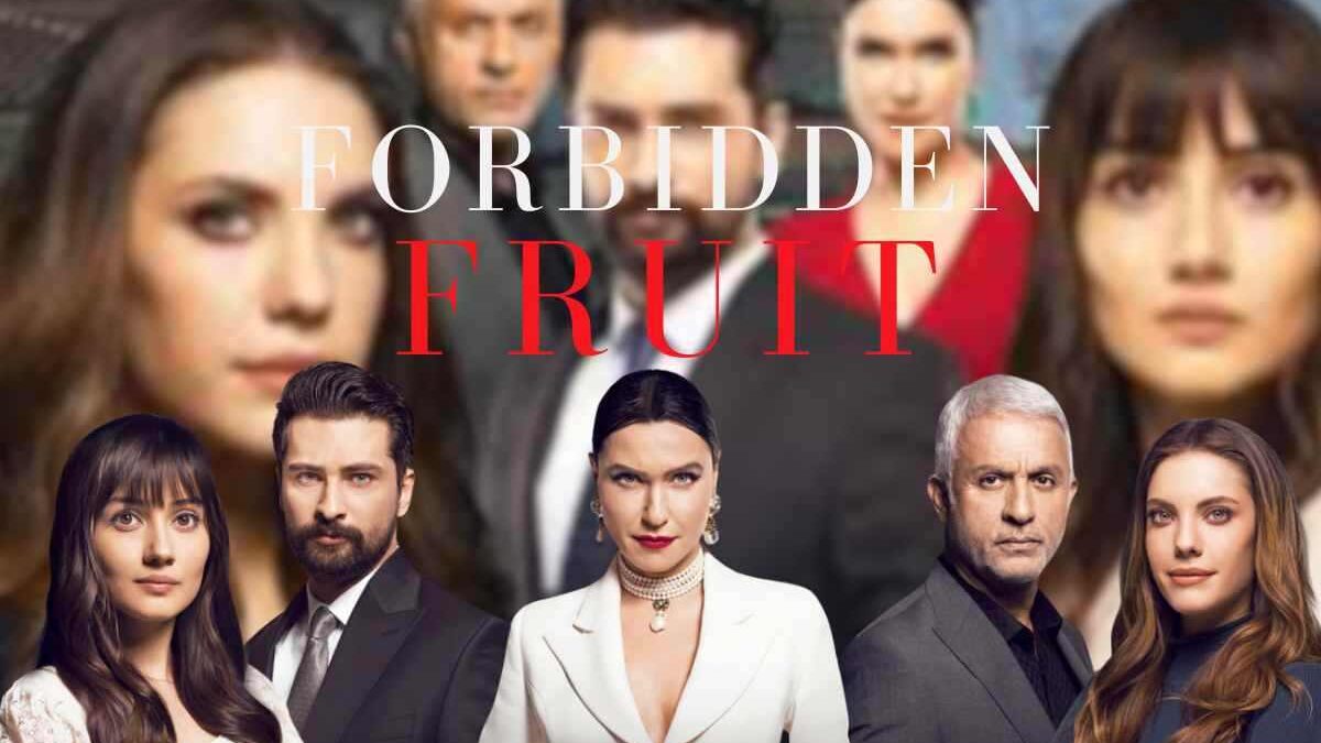 Forbidden Fruit, anticipazioni: Yigit perde il controllo, interviene la polizia. Cosa accadrà