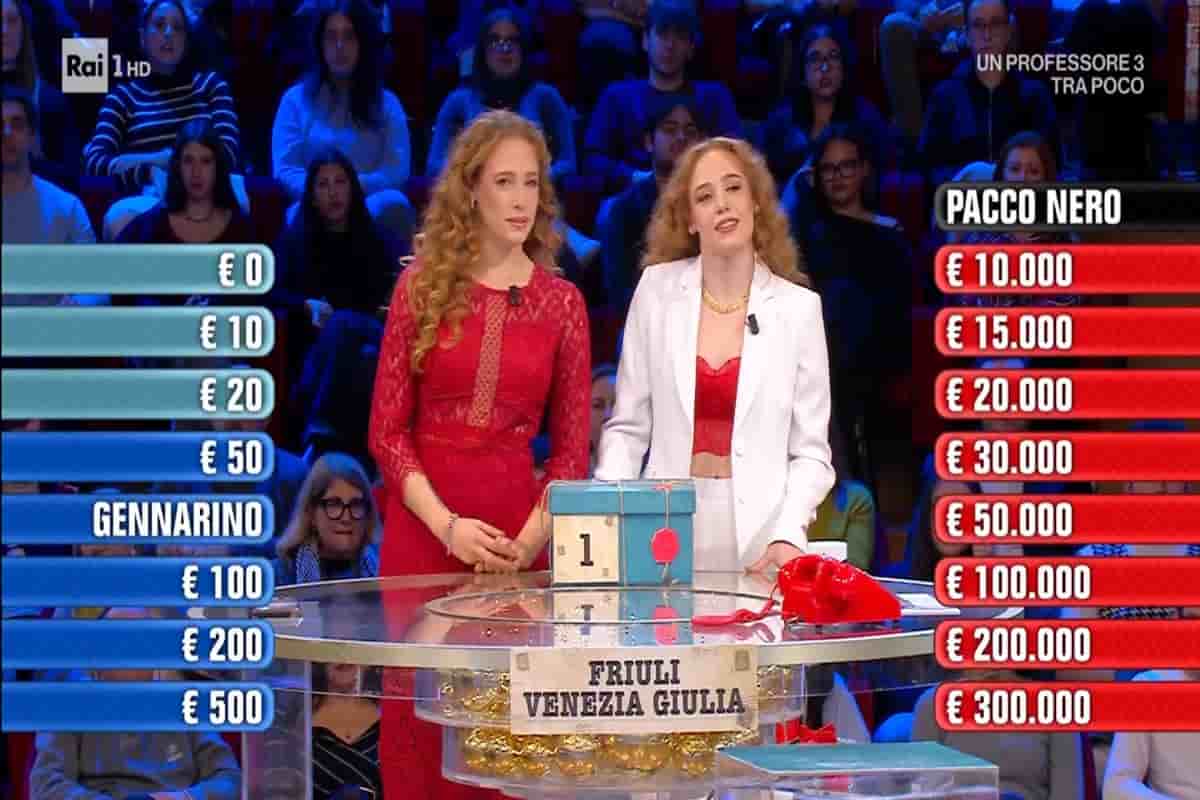 Affari Tuoi, quanto hanno vinto stasera 11 dicembre 2025