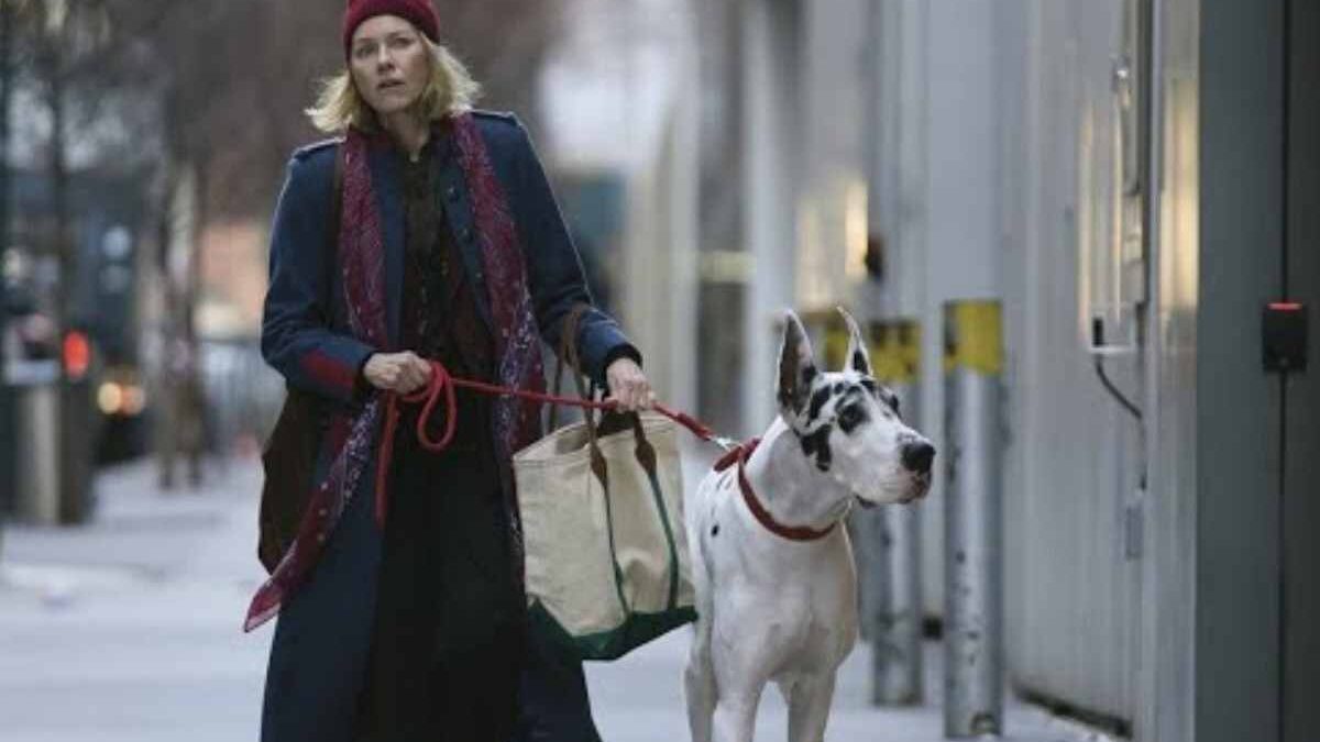 L’amico fedele con Naomi Watts, il film che travolge e emoziona