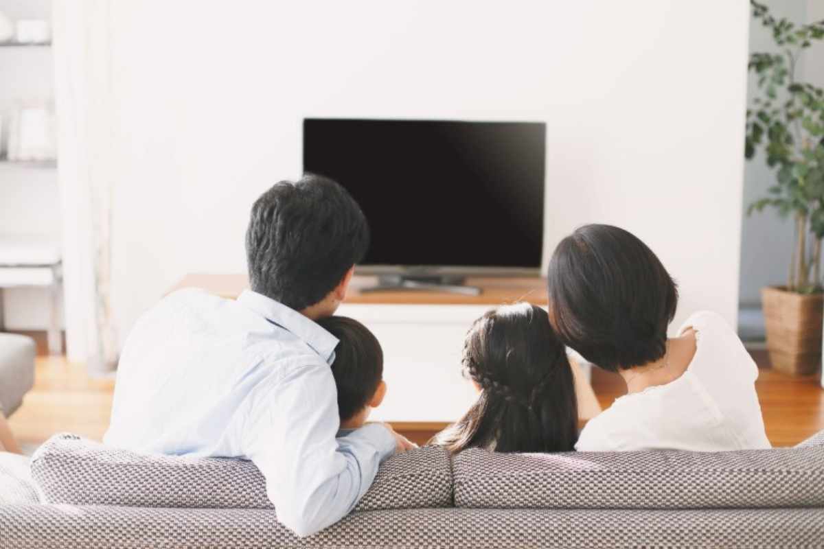 Domenica in tv