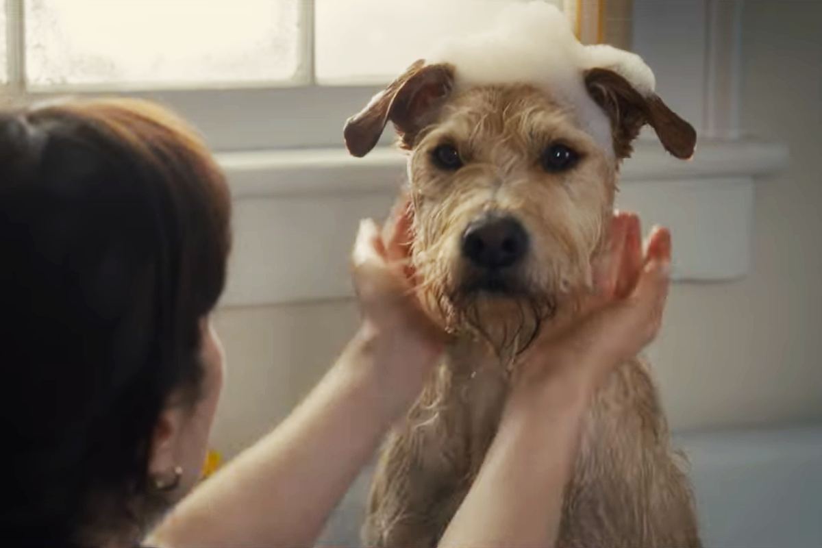 Prime Video, Merv è il film perfetto per Natale, ma non per tutti