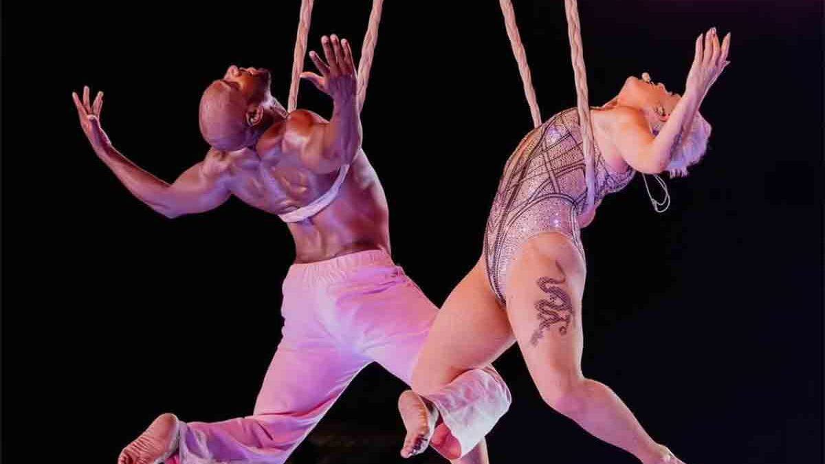Pink operata al collo a Capodanno: come sta la Superstar
