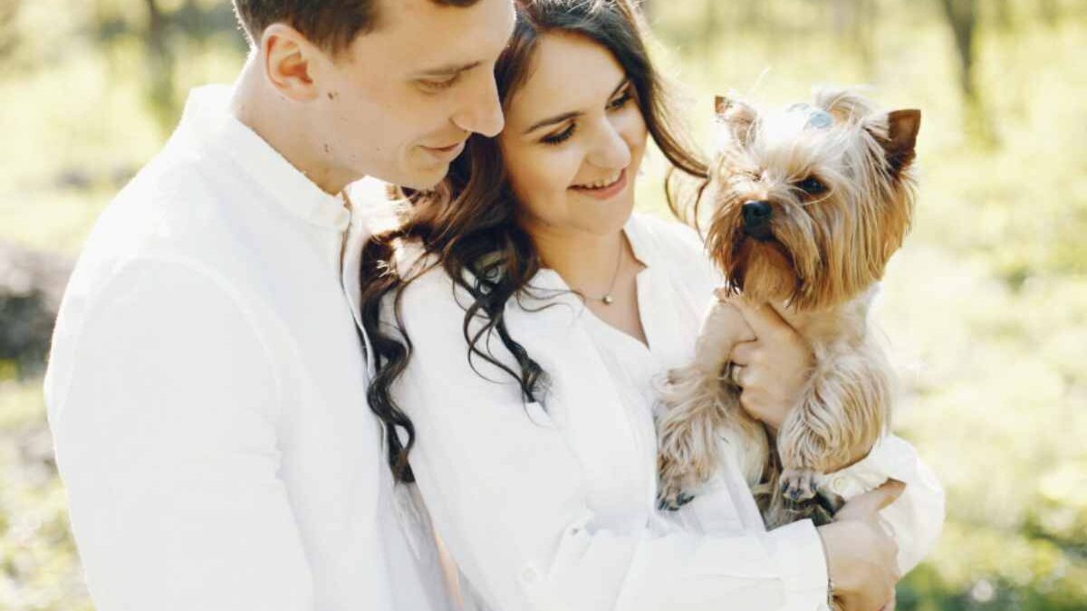 Stop ai cani che portano le fedi in chiesa: il parroco di Palermo dice basta alle mode dei matrimoni
