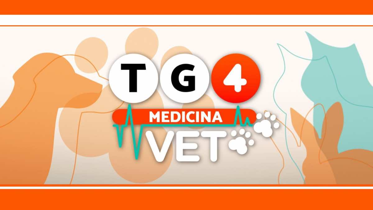 Rete4, nuova rubrica all’interno del TG: nasce TG4 Medicina Vet, con Elisa Triani alla conduzione