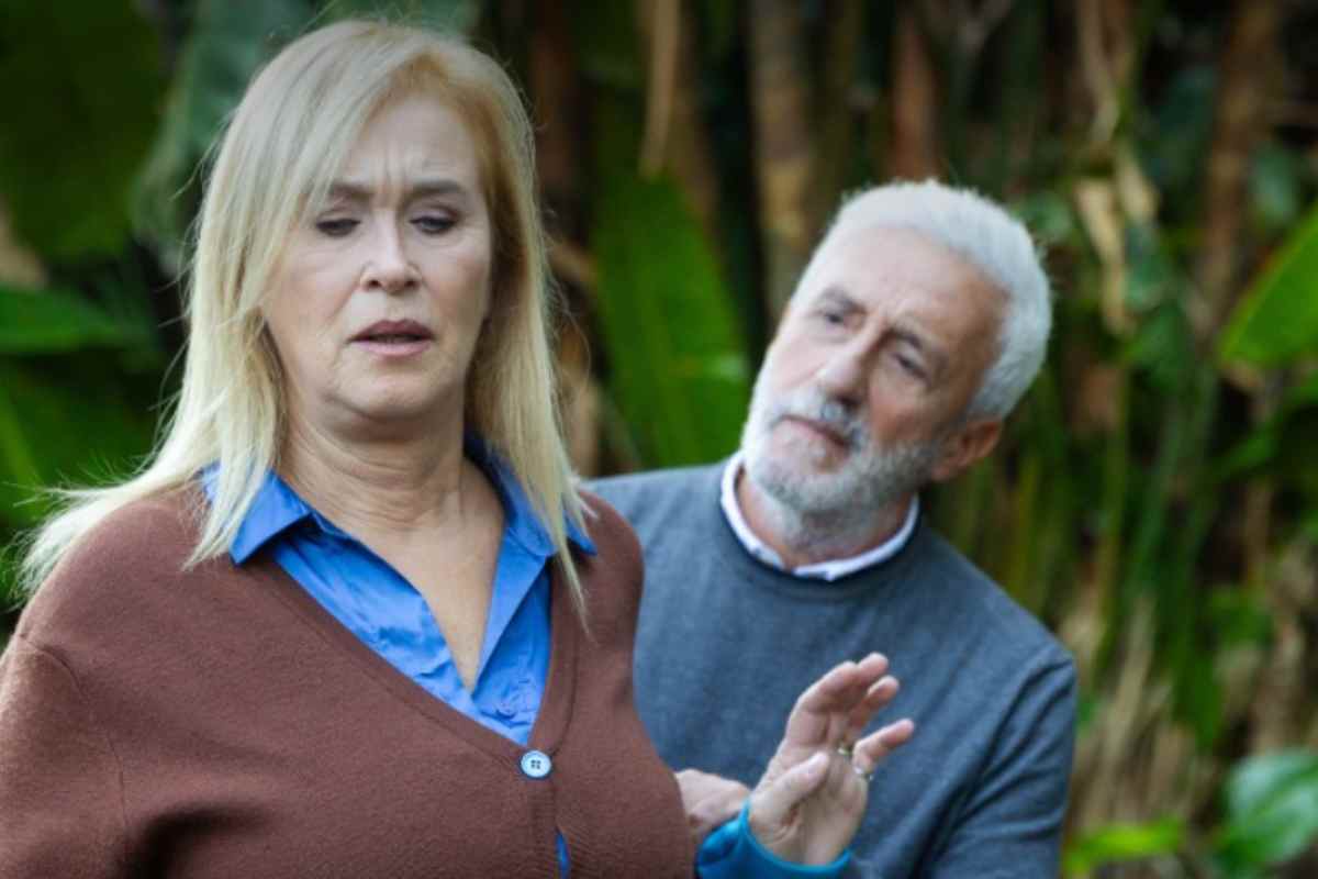 cosa succede ornella raffaele