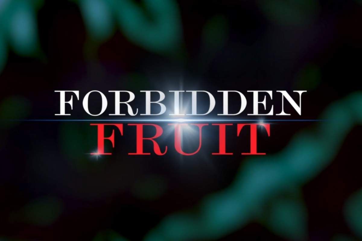 “Muore cadendo dalle scale”, le anticipazioni turche di Forbidden Fruit