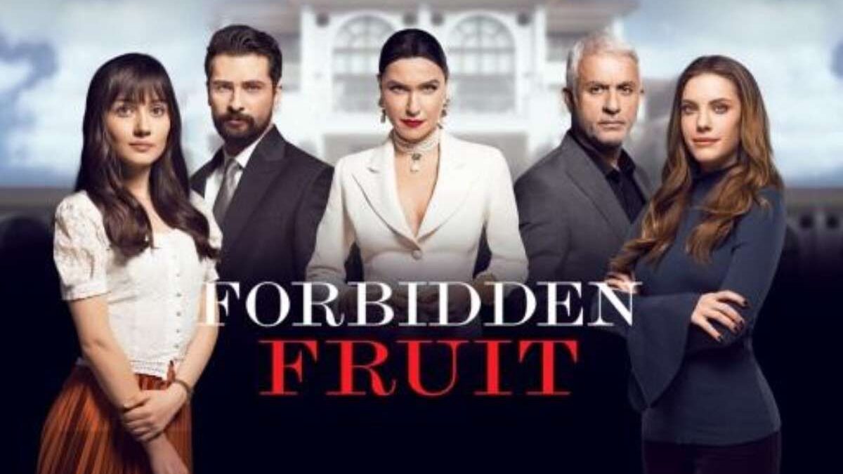 Forbidden Fruit, anticipazioni 4 giugno: il ricatto di Sahika e il tormento interiore di Yildiz