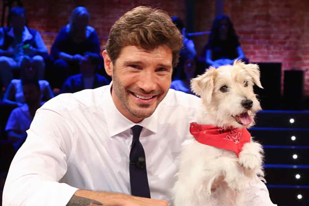 In televisione ci sono sempre più cani: il piccolo schermo diventa una finestra sul mondo animale