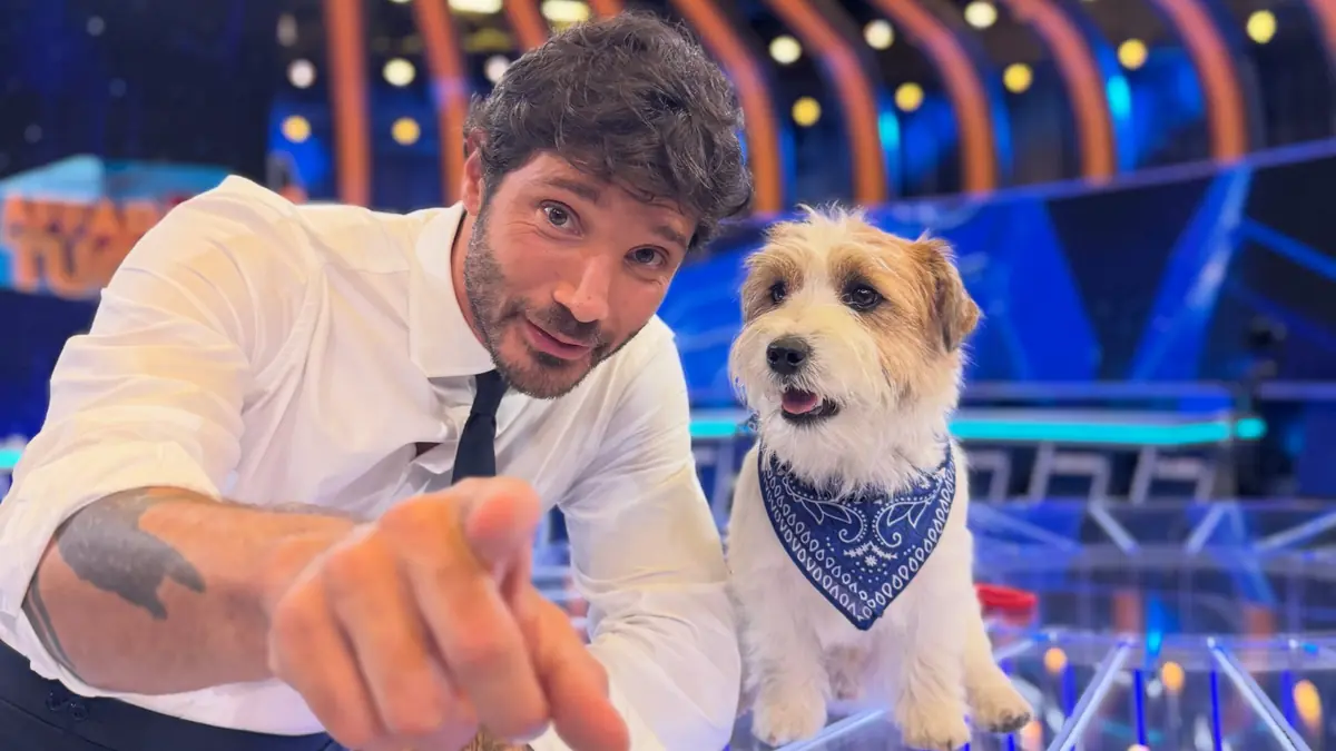 Stefano De Martino si commuove ad Affari Tuoi